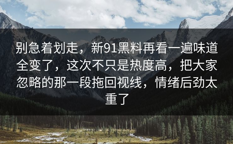 别急着划走，新91黑料再看一遍味道全变了，这次不只是热度高，把大家忽略的那一段拖回视线，情绪后劲太重了