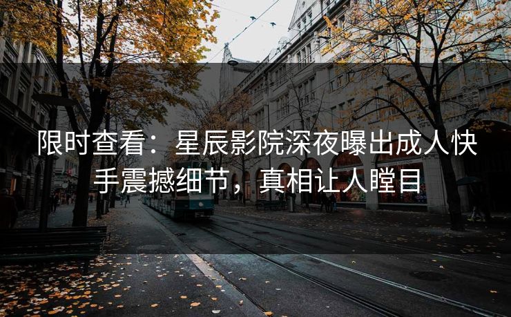 限时查看：星辰影院深夜曝出成人快手震撼细节，真相让人瞠目