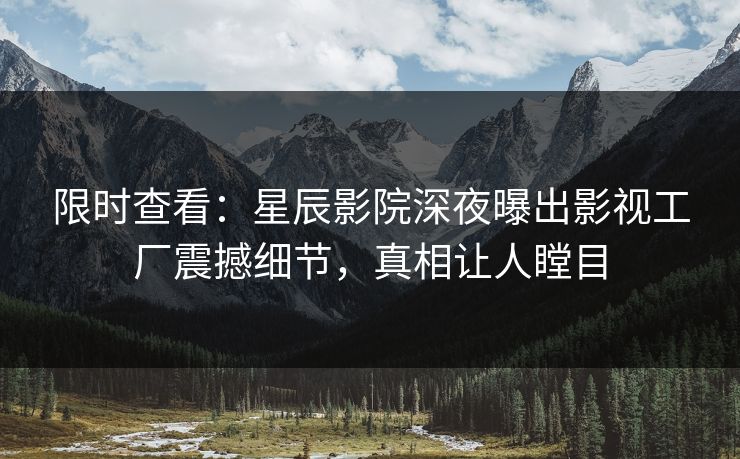 限时查看：星辰影院深夜曝出影视工厂震撼细节，真相让人瞠目